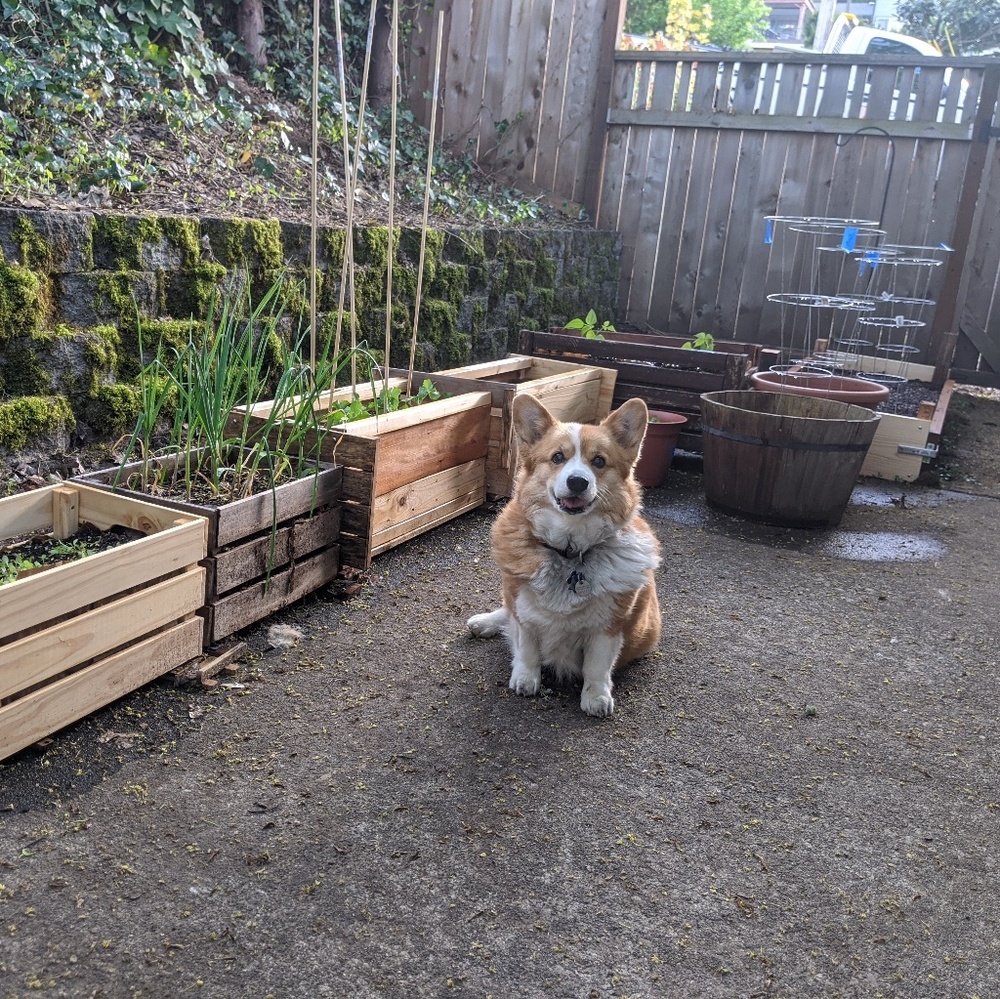 Meet your Posher, Cory